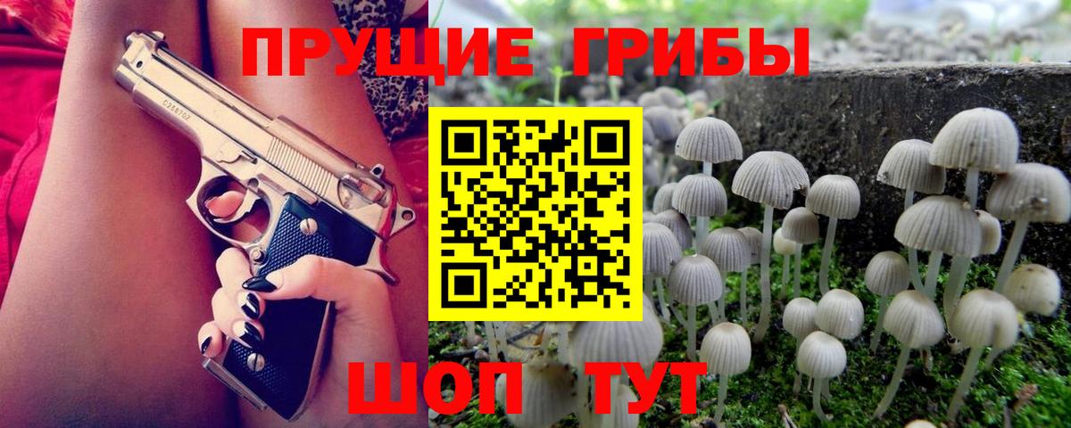 Псилоцибиновые грибы ЛСД Сыктывкар